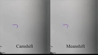 [ESIR] Personnal Camshift & Meanshift tracking