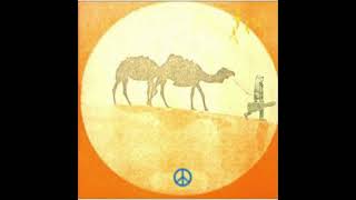 Alleen Plains - Live Small, Party Huge