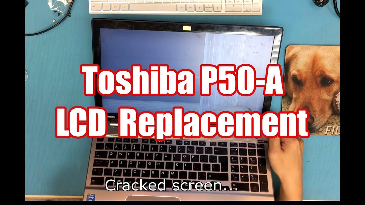How to replace Laptop screen for Toshiba Stallite P50A series. YouTube