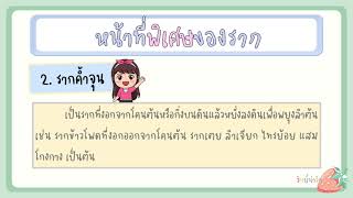 หน้าที่พิเศษของพืช l วิทยาศาสตร์ ป.4