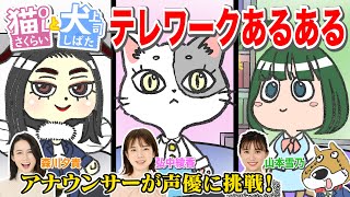 【テレワークあるある】アナウンサーが声優のショートアニメ!!＜猫OLさくらい＞