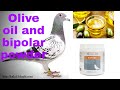 Olive oil and bipolar powder#Benefits of pure olive oil and powder for pigeons