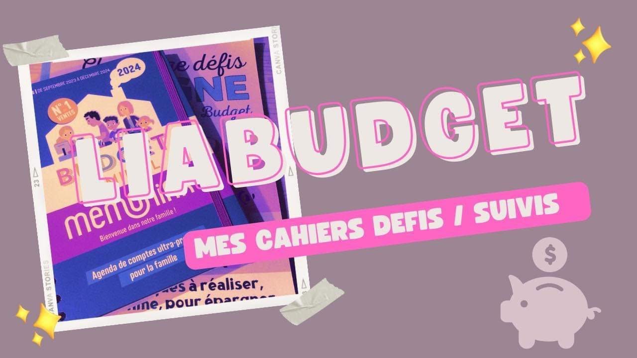 Cahier défi budget épargne & cahier suivi dépenses / Enveloppes budgétaires / Economies et Epargnes