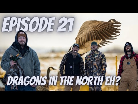 Bayou Dragons Podcast Ep. 21 (Dragons in the North Eh?)