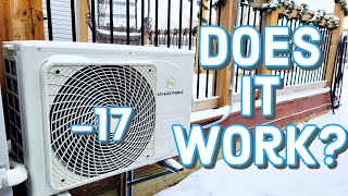Does The Eg4 Hybrid Solar Heat Pump Work At -17?