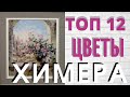 ТОП 12 ЦВЕТЫ ХИМЕРА