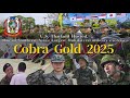 Cobra Gold 25　～Compilation～（English）