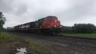 BCOL 4610 Trails on NS 68N