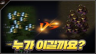 [스타 밸런스 얼마나 알고 계신가요?] 누가 이길까요? 스타 유즈맵