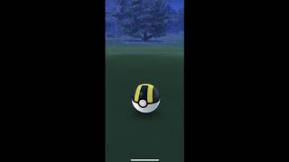 Catching wild Dusclops and Delcatty in Pokémon go