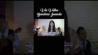 Via Vallen-Bandara Juanda #viavallen #fypシ #vianisty #storywa #story #musik #cover #dangdut  #fypp