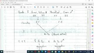 Mendel's Law of Independent Assortment, Dihybrid Crosses and Chi Squared Test