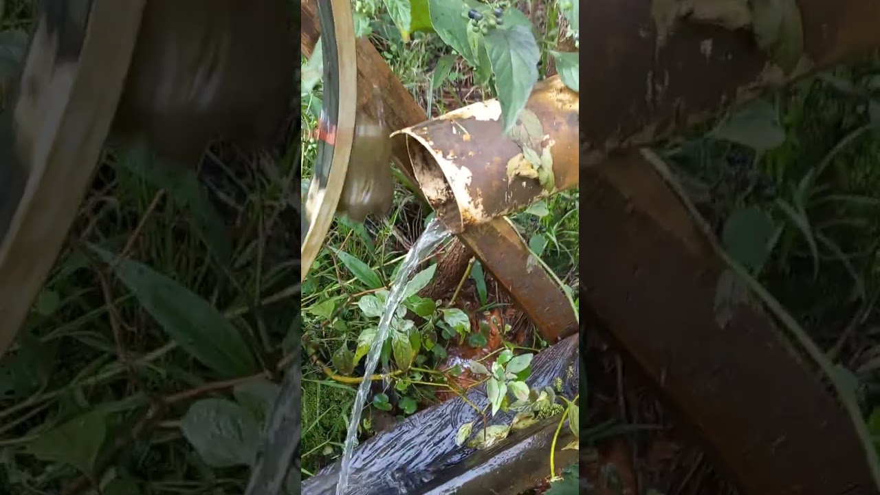 Depois de 40 anos voltando para a terra Natal São José cerrito 