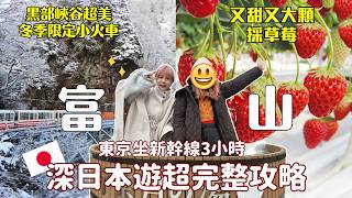 深入富山旅遊攻略