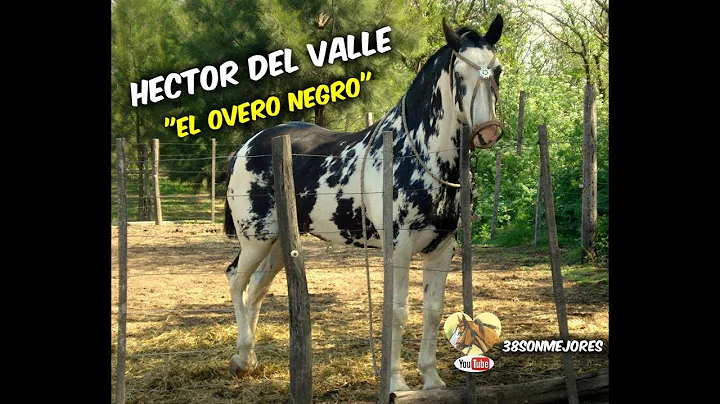 El Overo Negro | Hector del Valle