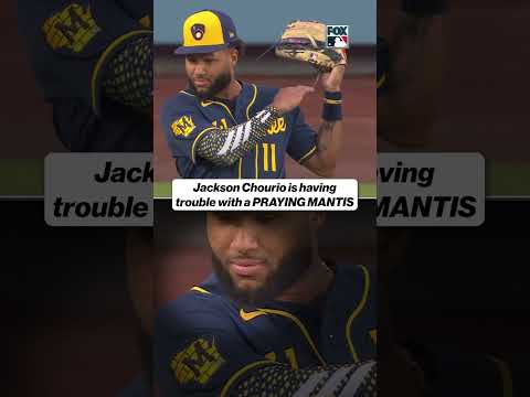 Jackson Chourio Couldn't get rid of the Praying Mantis 😂 #mlb #bugs #baseball