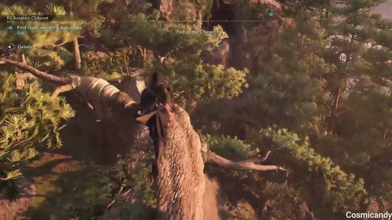 Path of the Chosen & Kii Assassin Outpost (Clifftop Yamabushi Challenge!) - Assassin's Creed Shadows