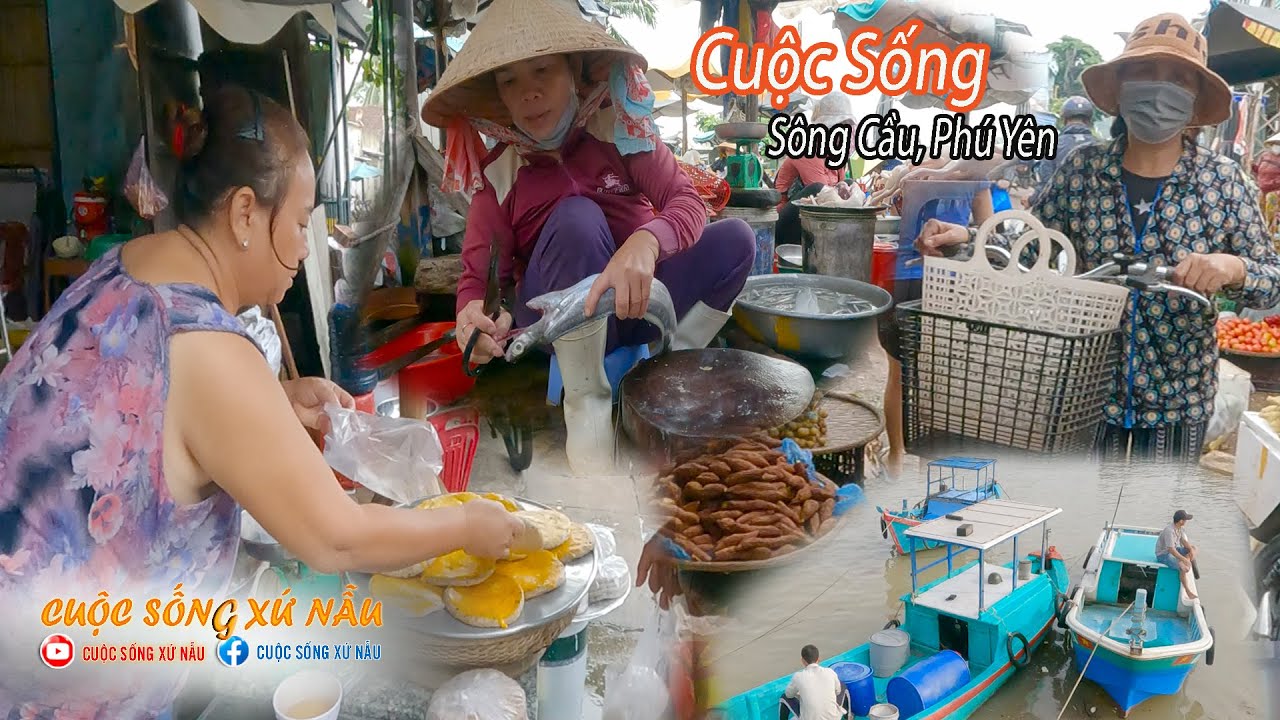 Lang thang Thị xã Sông Cầu Phú Yên || Cuộc sống xứ Nẫu