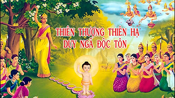 THIÊN THƯỢNG THIÊN HẠ DUY NGÃ ĐỘC TÔN & GIẢI ĐÁP CHÙA THIỀN TÔNG TÂN DIỆU