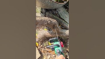 Máy cưa xích 12inch dùng pin WORKFIX WF-CS12CP,