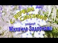 Михаил Задорнов. Концерт «С первым смехом!» (2008)