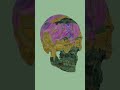 Skull Flow #blender #material #motion #sounddesign #3dart #eevee