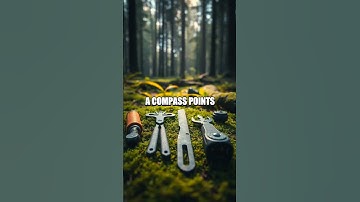 Mastering Wilderness Navigation with Map and Compass