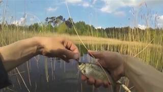 26 Репортаж Весенняя Сорога На Удочку Рыбацкий Нож-Трансформер//Russia Volga Fishing Gustera