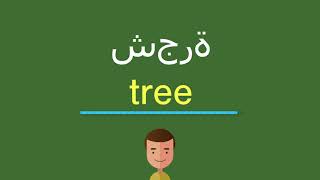 كيف أقول شجرة باللّغة الإنجليزيّة