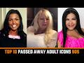 Top 10 Best Passed Away Adult Actresses from 90s with death reasons