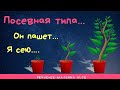 Шоколадный завтрак , чтобы сеялось хорошо/provenceallochka vlog