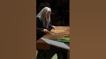 Thumbnail of The Legendary @DameEvelynGlennie performs with the World Doctors Orchestra using ProMark Mallets.