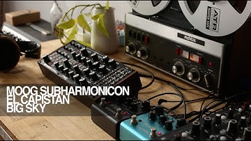 Moog Subharmonicon with Strymon El Capistan and Blue sky