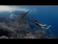 Diving the dragon  diving komodo indonesia ft behind the mask