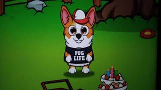 Corgi - Virtual Pet Game screenshot 3