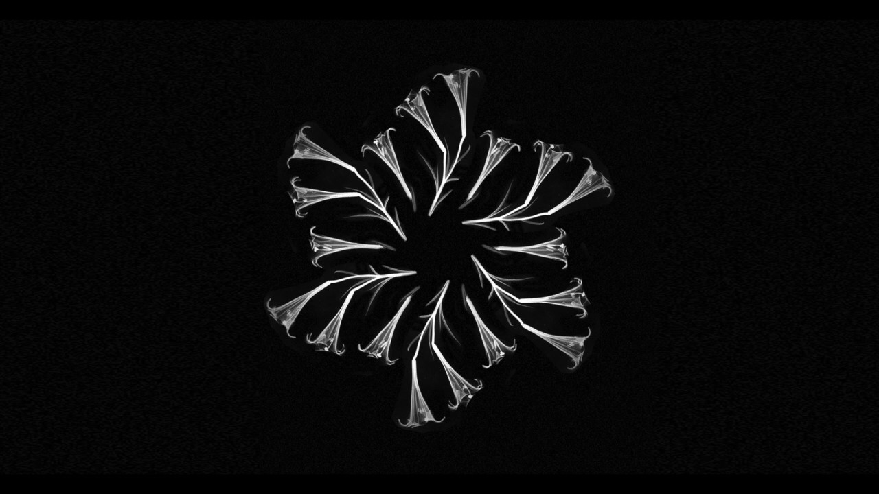 Luigi Rocca, Jairo Delli - Lets Go (Original Mix) adlı videoyu YouTube'da izle Luigi Rocca, Jairo Delli - Lets Go (Original Mix) adlı videoyu YouTube'da izle