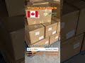 Professional customs handling for smooth and fast clearance.