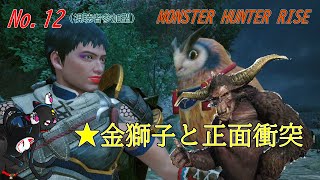「MONSTER HUNTER RISE」12