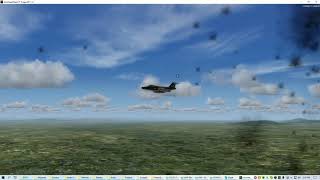 NVN Flak Test