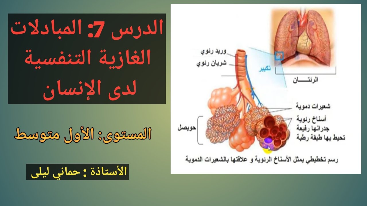 الدرس 7: المبادلات الغازية التنفسية لدى الإنسان