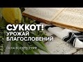 «СУККОТ! Урожай благословений». Прямой эфир из Иерусалима