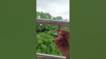 Raindrop Vibes – Monsoon Mood Captured ☔🌧️✨
