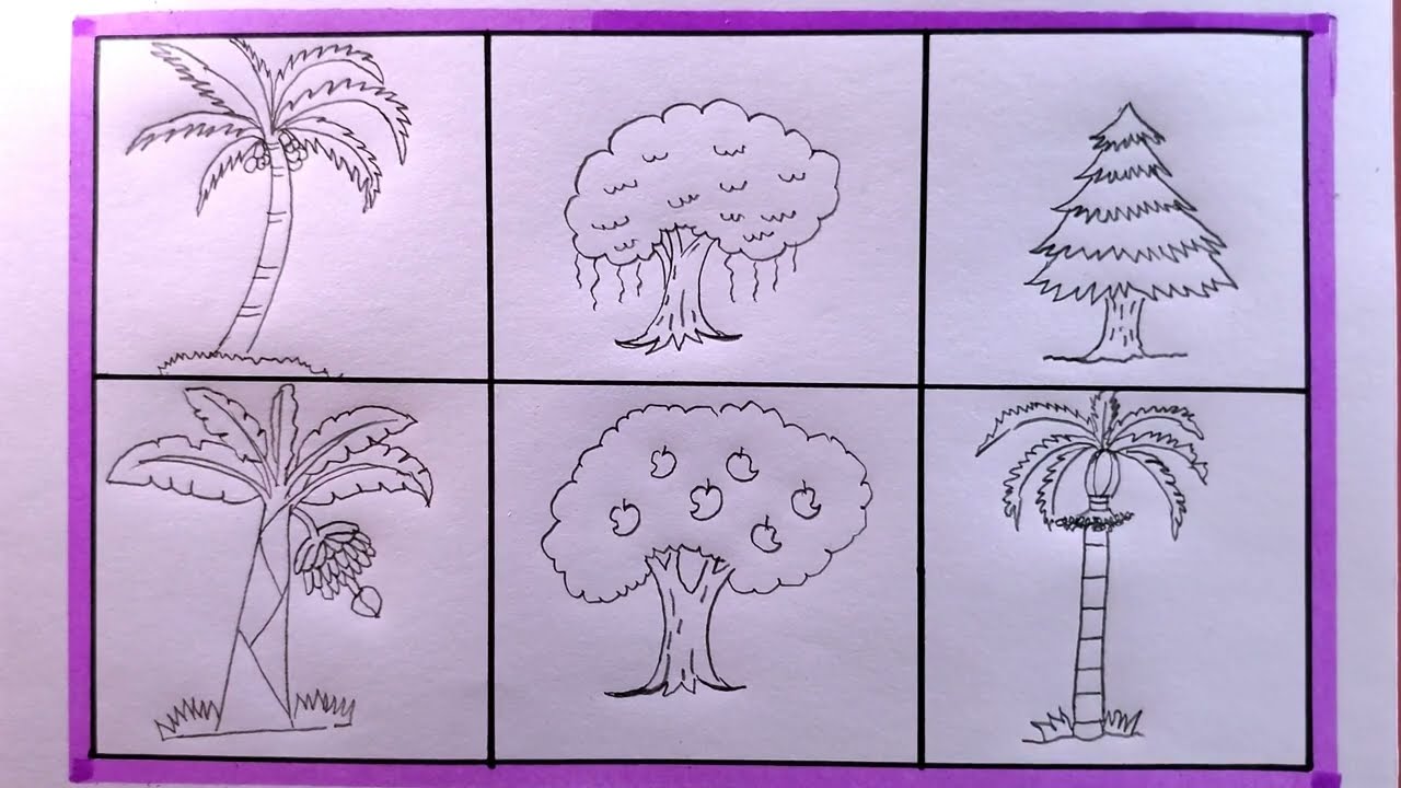 Types Of Trees For Kids Drawing
