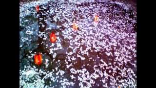 Miniatura de vídeo de "Sakura (a reflection)"