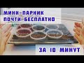 Вместо торфяных таблеток для растений без пикировки, мини-парник из мусора.