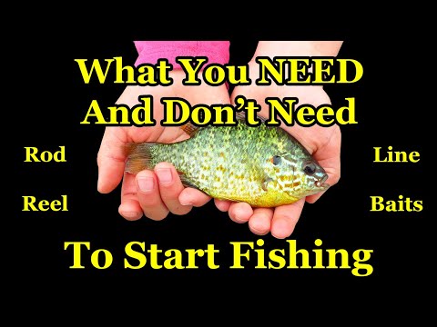 Beginners' Guide to Fishing Gear - How to Start Fishing With a Rod and Reel