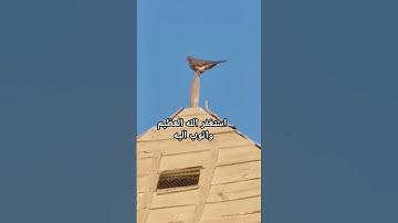 استغفر الله العظيم واتوب اليه #القارئ #quran #ماهر_المعيقلي