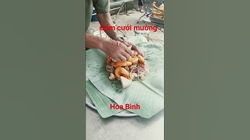 đám cưới dân tộc mường hòa bình