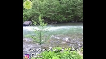 القارئ سلمان العتيبي قصير انستقرام