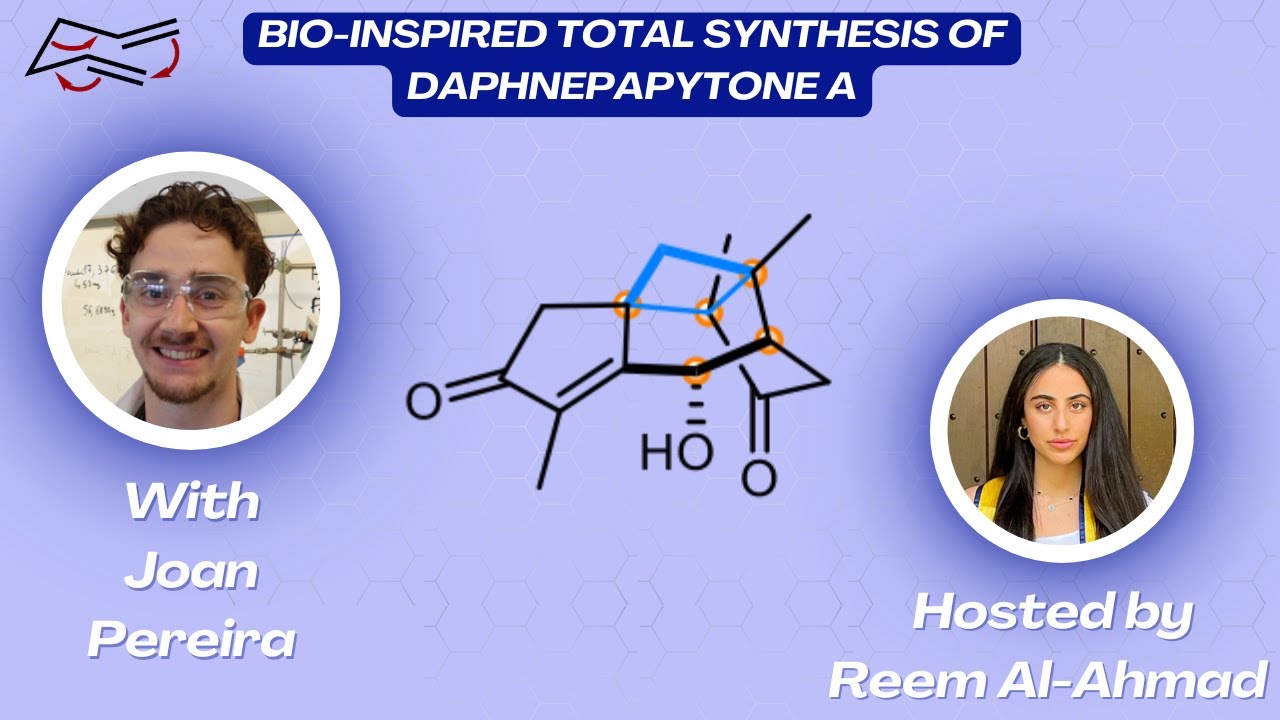 Биоинспирированный полный синтез дафнепапитона А с Джоан Перейрой